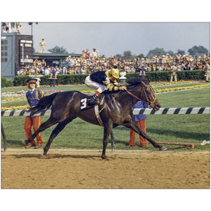 Open image in slideshow, Seattle Slew at Kentucky Derby
