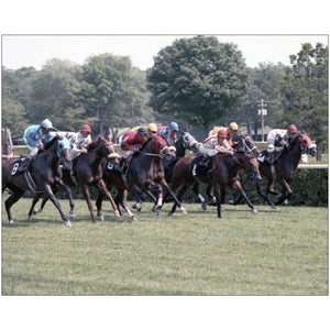Open image in slideshow, At the Races
