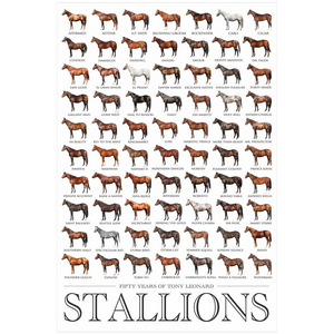 Open image in slideshow, 50 Years Stallion Poster
