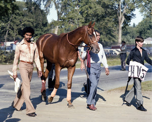 Open image in slideshow, Affirmed Walking to the Travers, 1978

