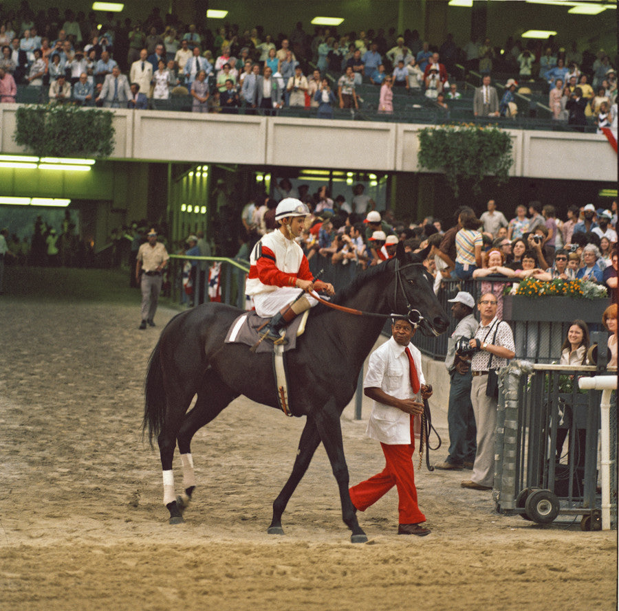 Ruffian's Last Race at Belmont Park, July 1975