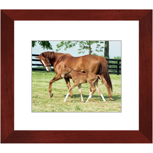 Open image in slideshow, Genuine Risk and Foal, Framed
