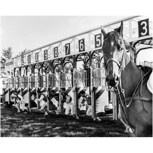 Open image in slideshow, Horse and Jockeys Black and White
