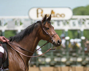 Open image in slideshow, Pimlico Starting Pony
