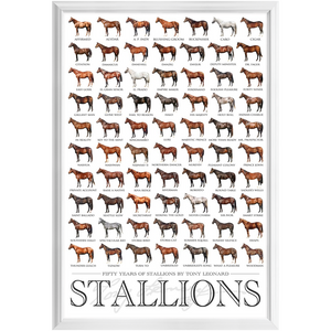 Open image in slideshow, Stallion Poster, Framed

