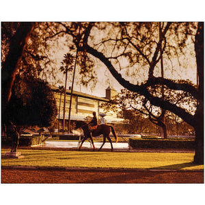 Open image in slideshow, Scenic Morning Track Print
