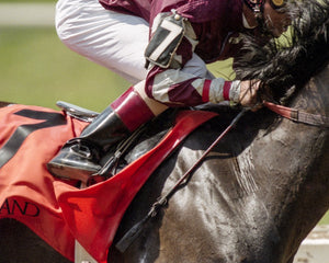 Open image in slideshow, Up Close at Keeneland
