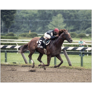 Open image in slideshow, Easy Goer at Saratoga
