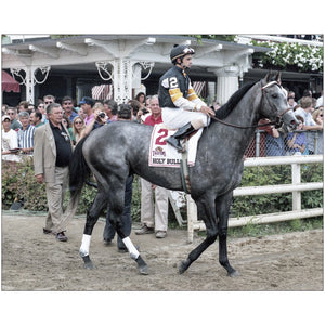 Open image in slideshow, Holy Bull at Saratoga
