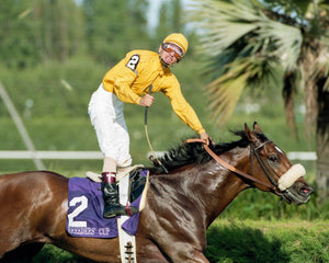 Open image in slideshow, Mike Smith, Lure Breeders Cup Win
