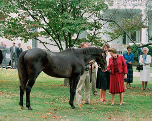 Open image in slideshow, Roundtable with Queen Elizabeth
