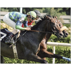 Open image in slideshow, Dead Heat at Saratoga
