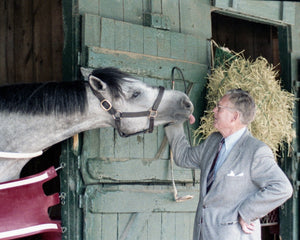 Open image in slideshow, Kissing Horse
