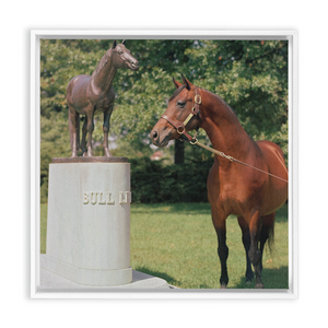 Open image in slideshow, Citation at Bull Lea&#39;s Grave, Framed Canvas
