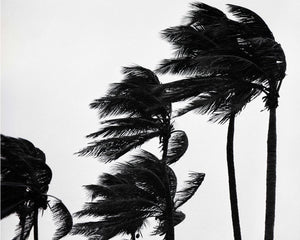 Open image in slideshow, Key West Storm
