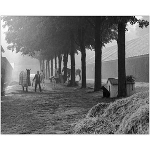 Open image in slideshow, Saratoga Barns, 1960&#39;s
