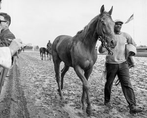 Open image in slideshow, Mid-Century Racing
