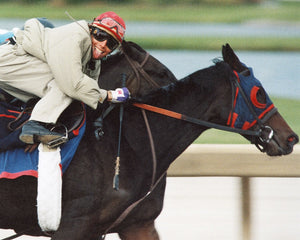 Open image in slideshow, Exercise Rider Horsing Around
