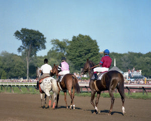 Open image in slideshow, Affirmed and Alydar at the Travers

