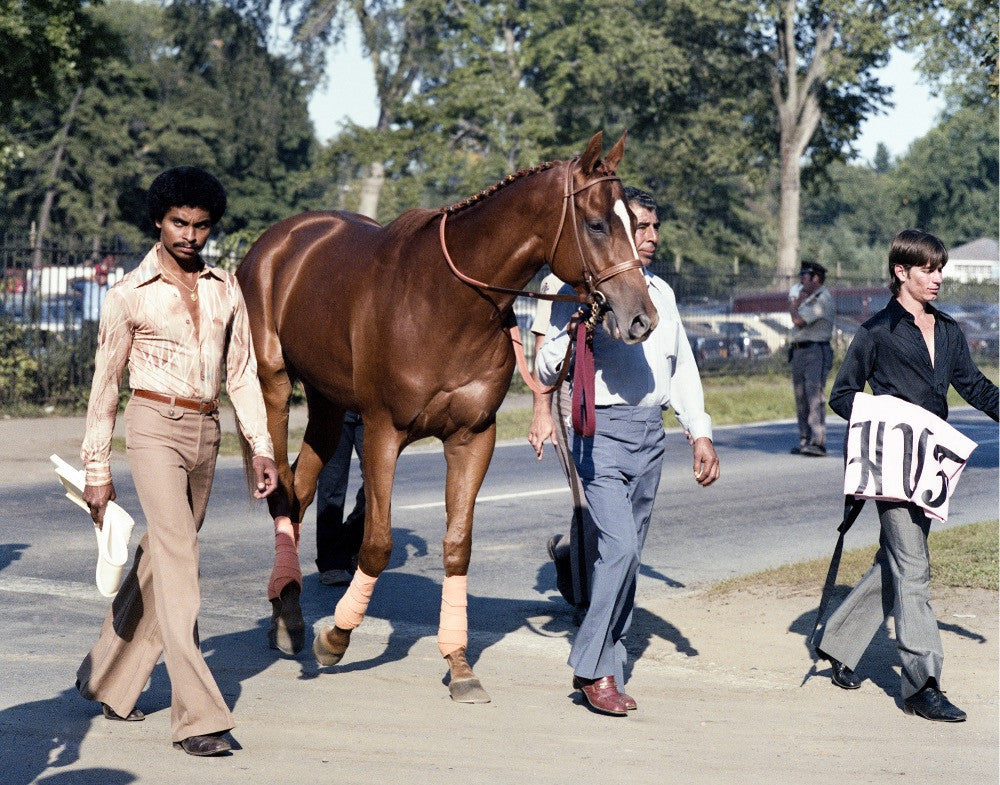 Affirmed Walking to the Travers, 1978 – The Tony Leonard Collection