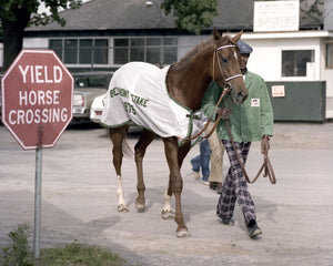 Open image in slideshow, Walking to the Belmont Stakes, 1975
