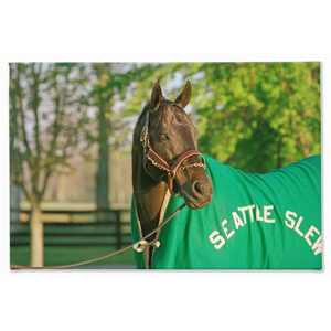 Open image in slideshow, Seattle Slew in Blanket, Stretched Canvas
