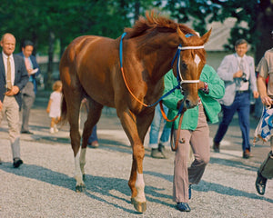 Open image in slideshow, Secretariat Walking at Belmont
