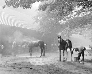 Open image in slideshow, Morning Bath at Saratoga, 1968
