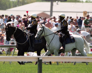 Open image in slideshow, Horses on Parade
