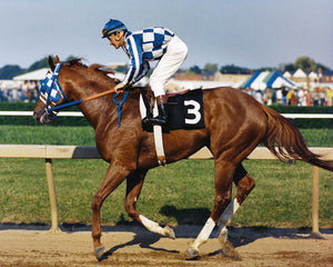 Open image in slideshow, Secretariat with Ron Turcotte
