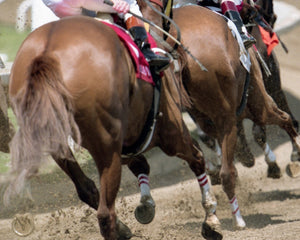 Open image in slideshow, Backstretch
